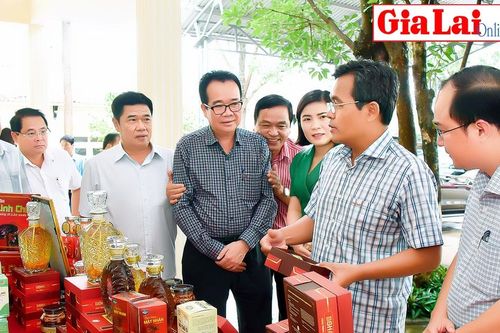 Thường trực Tỉnh ủy làm việc với Sở Khoa học và Công nghệ