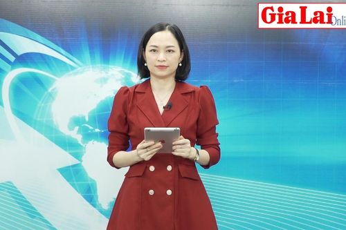 Gia Lai 24h: Khảo sát thực địa công trình thủy lợi Ia Thul