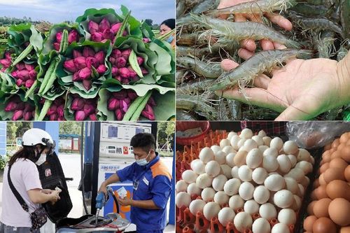 Tiêu dùng trong tuần (từ 12-18/6/2023): Giá nhiều mặt hàng giảm mạnh