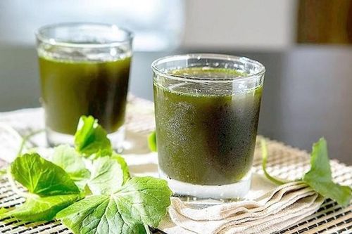 Những sai lầm khi uống nước rau má giải nhiệt