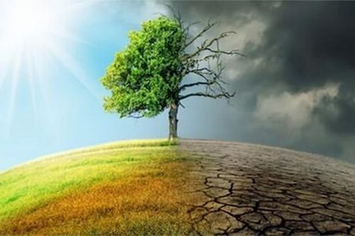 Ngoài biến đổi khí hậu, Trái Đất đối mặt với loạt hiểm họa nào?