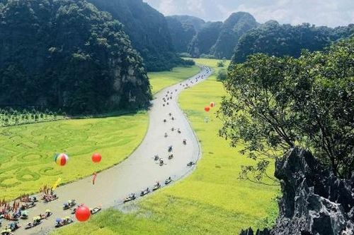 Tam Cốc - Bích Động vào mùa lúa mới