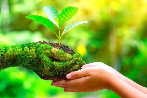 Người trẻ 'phủ xanh' mạng xã hội