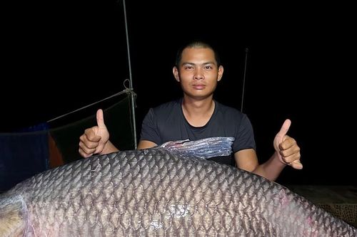 Cần thủ bán 'thủy quái' nặng hơn 40 kg với giá 'sốc'