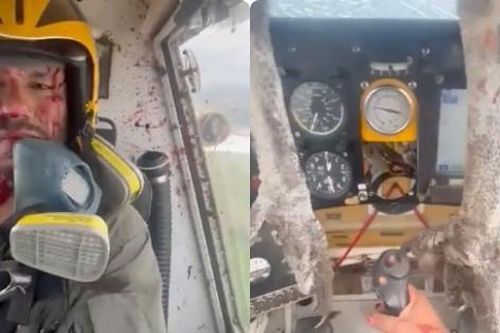Sự thật về chim khổng lồ đâm vỡ kính chắn gió máy bay khiến phi công bị thương