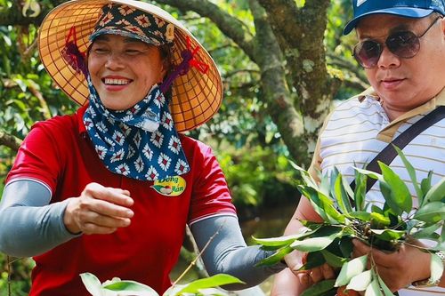 Bán tấm chân tình trong từng quả vải, cả đời trồng cây chưa ai ngờ tới