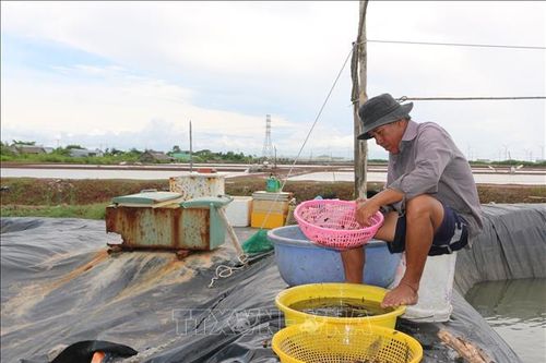 Phát triển kinh tế vùng đồng bào dân tộc thiểu số - Bài 1: Chuyển biến tích cực