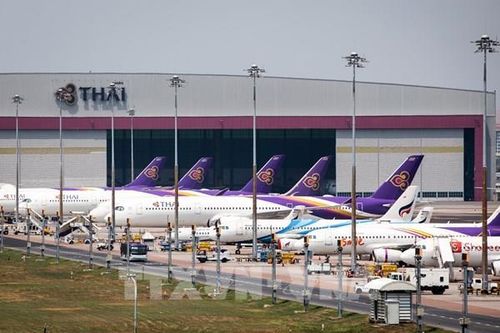 Tương lai nào cho nhiên liệu hàng không bền vững