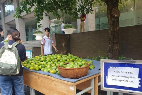 Chuẩn 'trường nhà người ta', Đại học Ngoại thương Hà Nội tặng xoài 'của nhà trồng' cho sinh viên