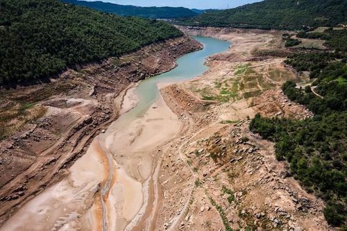 EU đối mặt với mùa hè khắc nghiệt nhất từ trước tới nay
