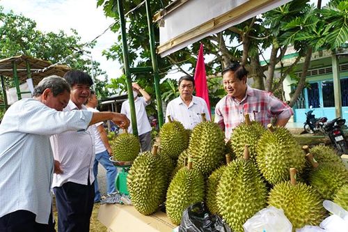 Hấp dẫn ngày hội trái cây sầu riêng