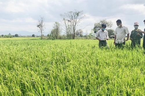 Krông Pa: Hiệu quả từ tổ hợp tác dùng nước