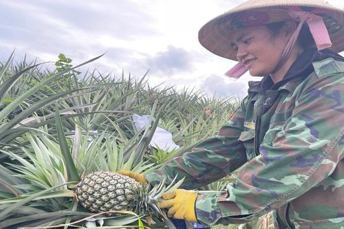 'Bà đỡ' giúp nông dân Kbang phát triển kinh tế