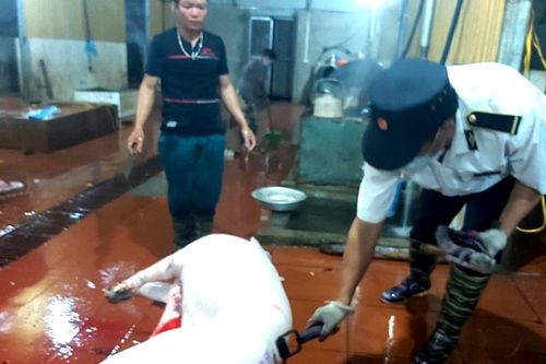 Kiểm soát giết mổ gia súc cần quyết liệt vào cuộc từ các địa phương
