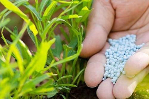 Vi phạm hành chính về phân bón bị phạt tới 200 triệu đồng