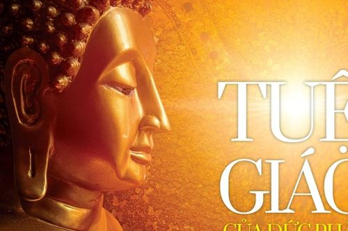 Tuệ giác của Đức Phật