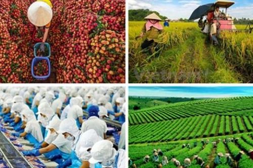Việt Nam-Nhật Bản: Thống nhất triển khai 'Tầm nhìn hợp tác nông nghiệp giai đoạn tiếp theo 2025-2028'