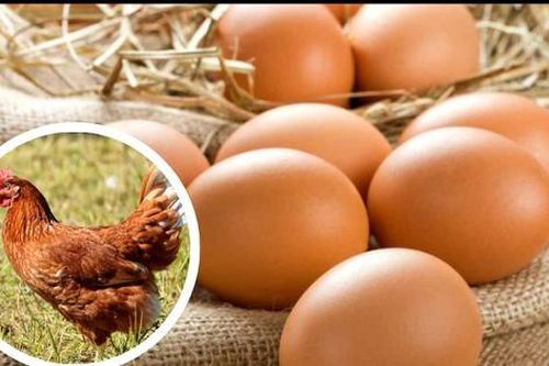 Câu hỏi 'con gà hay quả trứng có trước' cuối cùng đã có lời giải đáp?