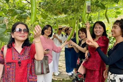 Nông dân làm du lịch vườn