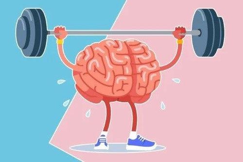 4 bài thể dục cho não giúp cải thiện sức khỏe tinh thần mùa thi