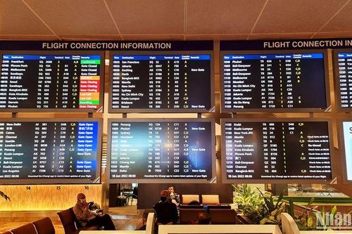 IATA: Hàng không toàn cầu đang phục hồi ấn tượng