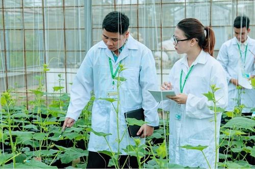 Nghiên cứu khoa học là con đường chông gai nhưng vinh quang