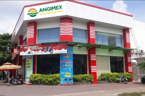 Angimex (AGM) phải giải trình việc chậm trễ thanh toán lãi lô trái phiếu 300 tỷ