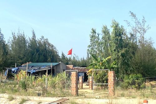 Bình Định kiên quyết xử lý về lấn, chiếm đất đai, không để xảy ra vi phạm mới