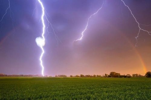 Tử vong khi thăm ruộng lúa bất ngờ gặp mưa dông kèm theo sét