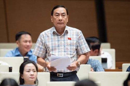 Không ít người nước ngoài 'núp bóng' cá nhân, tổ chức Việt Nam thâu tóm đất đai
