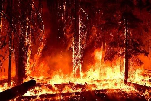 Con số 'khủng': 195.000 người thiệt mạng ở châu Âu do thời tiết khắc nghiệt kể từ năm 1980