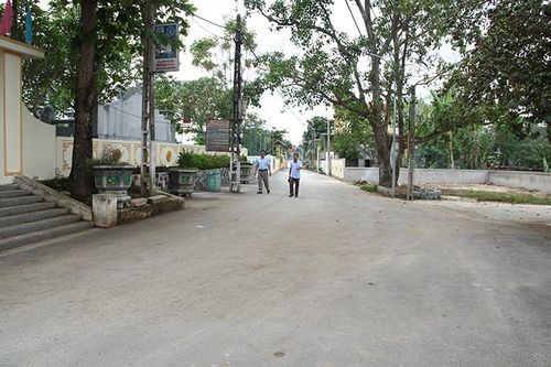 Cựu chiến binh chung sức xây dựng nông thôn mới