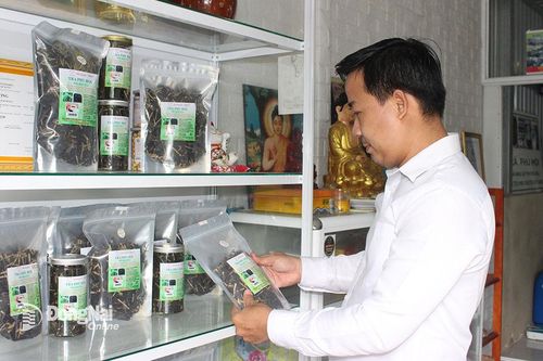 Kỳ vọng vào Luật HTX sửa đổi