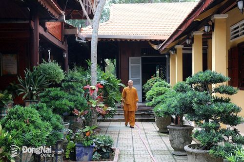 Cùng bảo vệ môi trường xanh