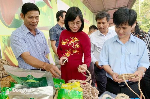 Đồng Nai đẩy mạnh xuất khẩu chuối