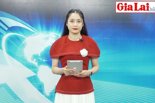 Gia Lai 24h: Hội nghị trực tuyến toàn quốc sơ kết 1 năm hoạt động của Ban Chỉ đạo phòng-chống tham nhũng, tiêu cực cấp tỉnh