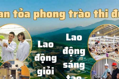 Lan tỏa phong trào thi đua 'Lao động giỏi, lao động sáng tạo'