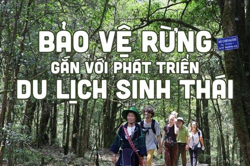 Bảo vệ rừng gắn với phát triển du lịch sinh thái