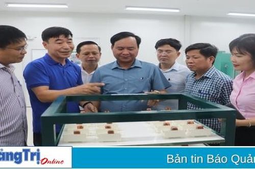 Chủ tịch UBND tỉnh Võ Văn Hưng kiểm tra tiến độ hoạt động của Nhà máy Sangshin Central Việt Nam