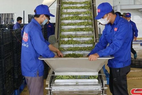 Sau hơn 2 năm thực hiện nghị quyết Đại hội Đảng các cấp ở Mai Sơn