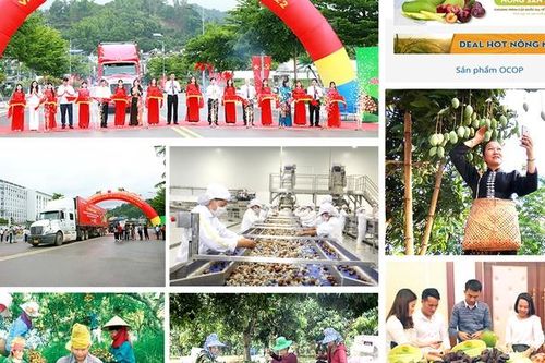 Chủ động triển khai các biện pháp thúc đẩy xuất khẩu nông sản