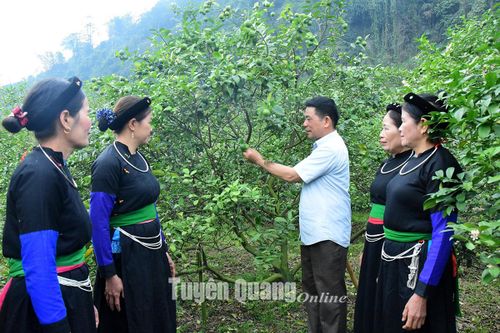 'Hạt nhân' phát triển kinh tế