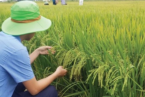 Gắn chất lượng với quảng bá sản phẩm