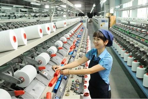 Tổng Công ty Việt Thắng (TVT): Thanh toán cổ tức năm 2022 bằng tiền tỷ lệ 25%
