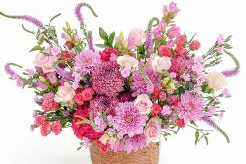 Bộ trưởng Bộ Tài chính Hồ Đức Phớc gửi thư chúc mừng Ngày Báo chí cách mạng Việt Nam