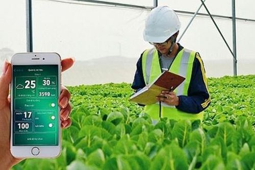 Nông dân dùng smartphone làm chuyển đổi số nông nghiệp