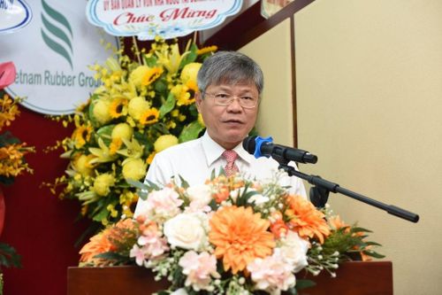 GVR dự kiến chuyển đổi 40.000 ha cao su thành đất công nghiệp