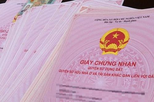 Xác minh vụ việc giải quyết thủ tục hành chính đất đai có dấu hiệu trục lợi tại Tuyên Quang