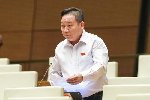 ĐBQH bày tỏ lo ngại khi ngày càng có thêm những 'dòng sông chết'
