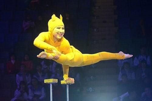 Diễn viên, điều dưỡng... thuộc ngành, nghề học nặng nhọc, độc hại, nguy hiểm trình độ trung cấp, cao đẳng